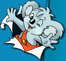 koala picture gallery