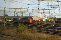 From right to left Svensk Tagkraft 10??; Midjyske Jernbaner MY28 ('Victoria') + MZ 1417; TGOJ 402 + CFL 18??. Nssj, 7 October 2015.