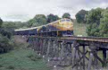 NRR 42107 + 42109 in Booyong on 19 June 1999