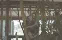 Australian Woolshed, Cairns