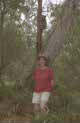 koalas at Mt Eccles NP