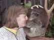 koala & me at Lemon Tree Passage, Australia
