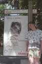 koala advertisement & me at Lisbon, Portugal