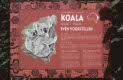 koala information at Planckendael, Belgium