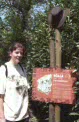 koala information at Planckendael, Belgium