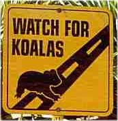 watch out!