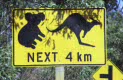 next 4 km