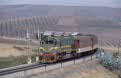 ONCF DK-559 + 2 ONCF ex-NMBS K2 coaches + 1 ONCF Diekirch coach + freight wagons + ONCF DK-559 as TSP excursion train from Fes (MA) to Taza (MA) at Sidi Harazem (MA) on 17 October 2002