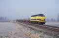 NMBS 6246 + local freight train 72512 (Antwerpen Noord, B - Neerpelt, B) at Geel (B), February 2003