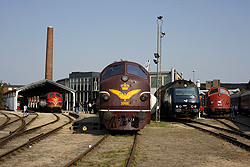 From right to left: Regionstog MX 42, DSB ME 1524, DSB Jernbanemuseet MX 1001, Altmark Rail MY 1149, CFL Cargo MY 1146 at Odense DSB Jernbanemuseet on 6 September 2014.