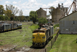 Ferrocarriles Argentinos Cargas y Log�stica S.A. Alco-Montreal FPD-7 8402 (ex-BAP, ex-ALL) just burned out a week before. Probably none of this locomotive type is still in service. At least I didn't spot one. Laboulage (Linea San Martin), 19 November 2015.