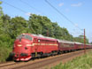 NSB 3.616 + 7 DSB coaches from Nyborg to Odense at Ullerslev
on 15 August 2004.
